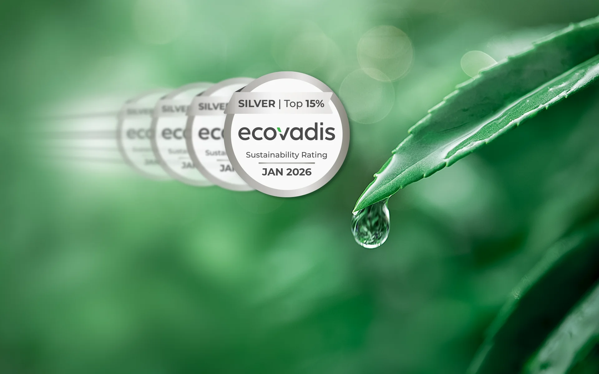 Medaglia EcoVadis gennaio 2026 su sfondo verde con foglia e goccia di rugiada, simbolo di sostenibilità ambientale di Typem